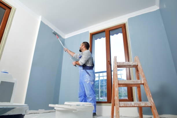 Best Industrial Mold Remediation  in Park Center, CO