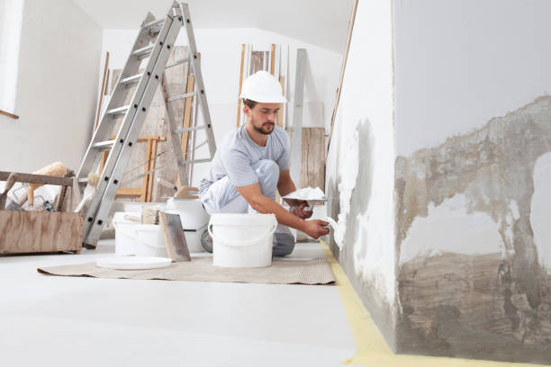 Best Real Estate Mold Inspection  in Park Center, CO