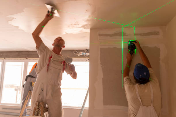 Best Environmental Consulting for Mold Prevention  in Park Center, CO