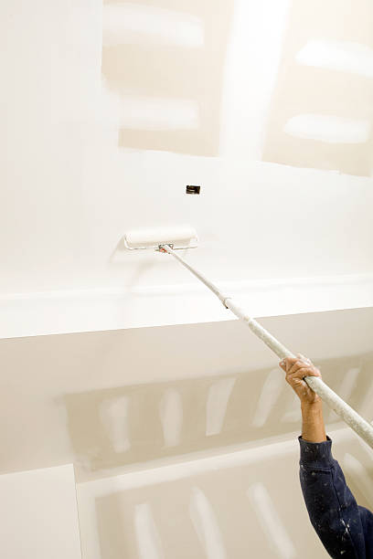 Professional Mold Removal in Park Center, CO
