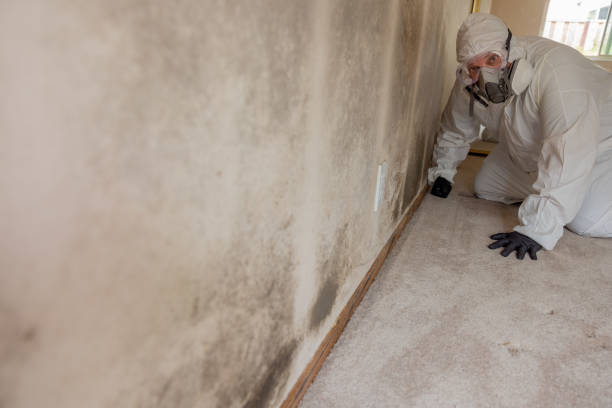 Best Mold Remediation for Healthcare Facilities  in Park Center, CO