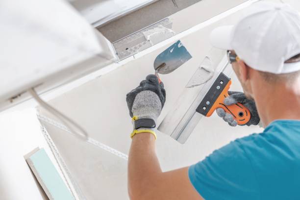 Best Water Damage & Mold Remediation  in Park Center, CO